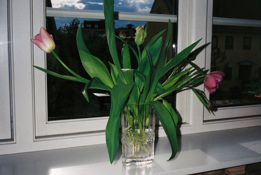 iittala glassvase