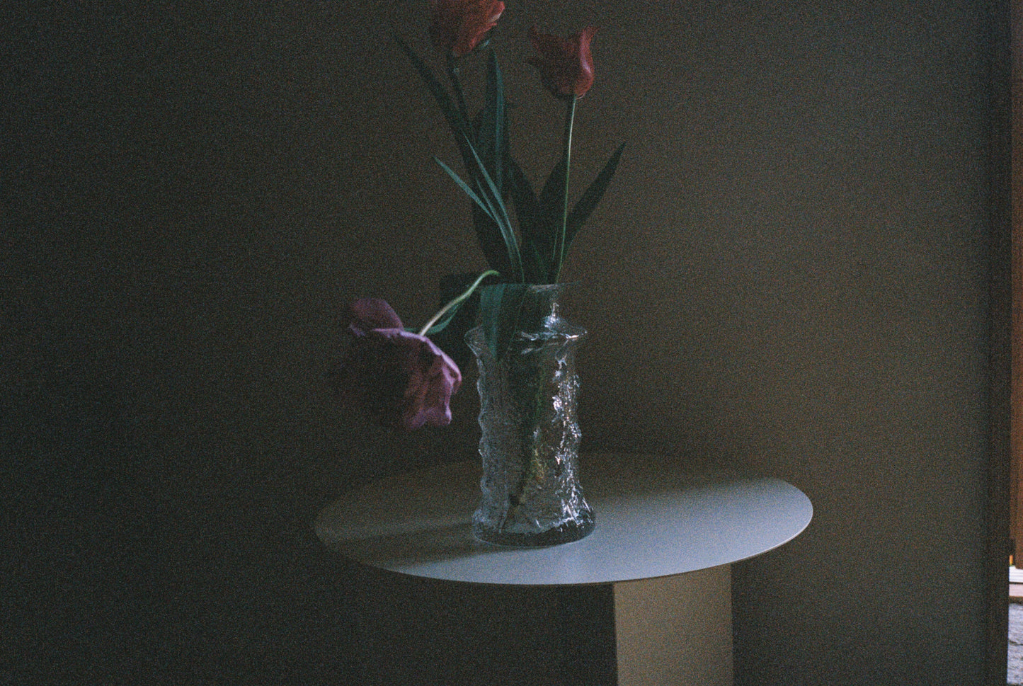 iittala rubus
