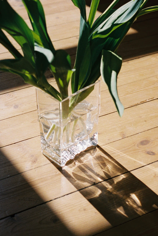 iittala raito
