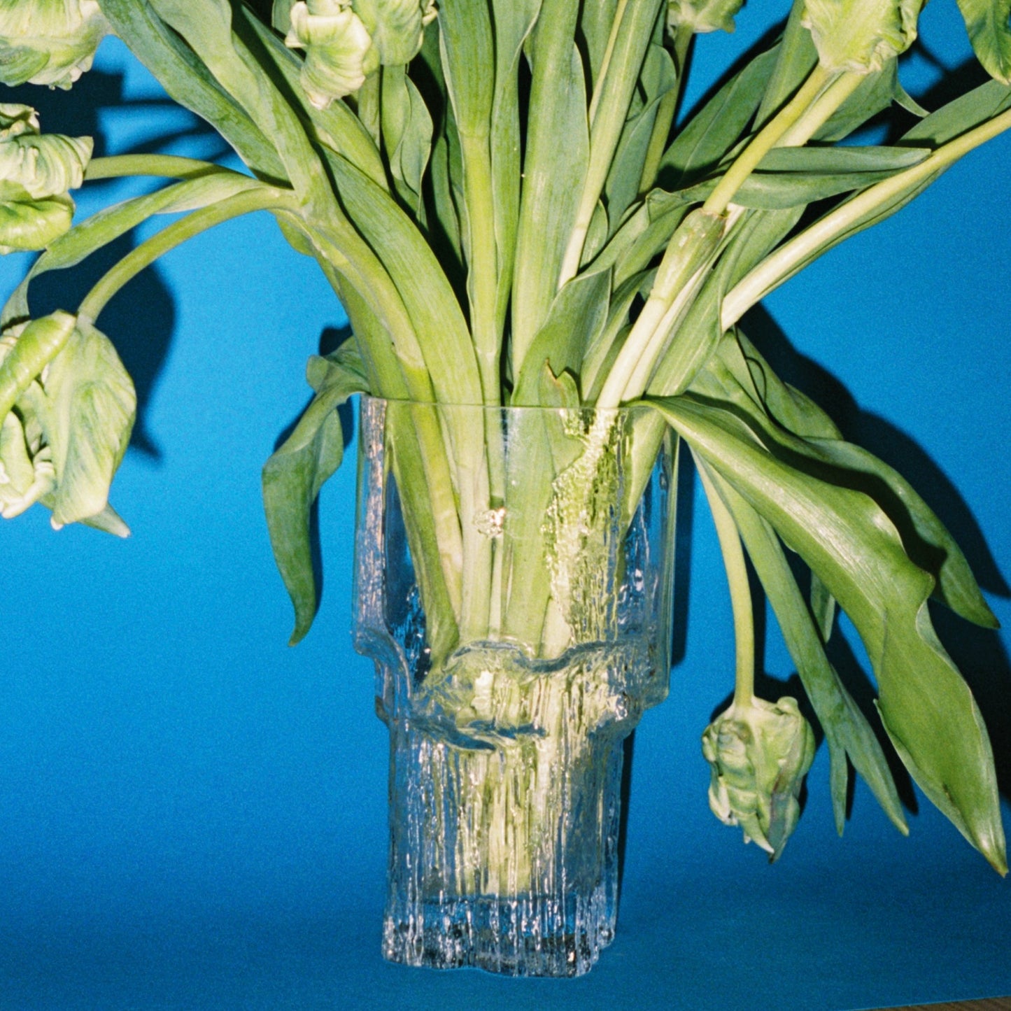 vase